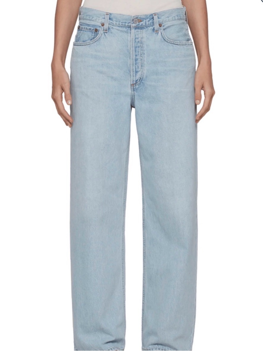 Agolde Low Slung Baggy Jean